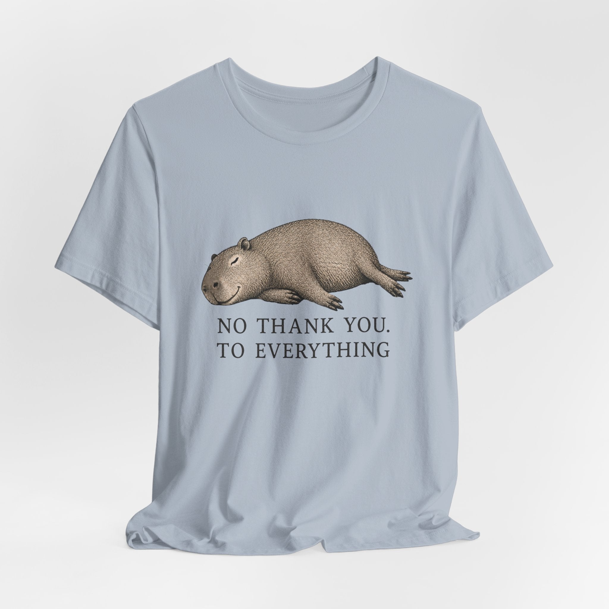 No Thank You to Everything T-Shirt