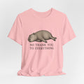 No Thank You to Everything T-Shirt