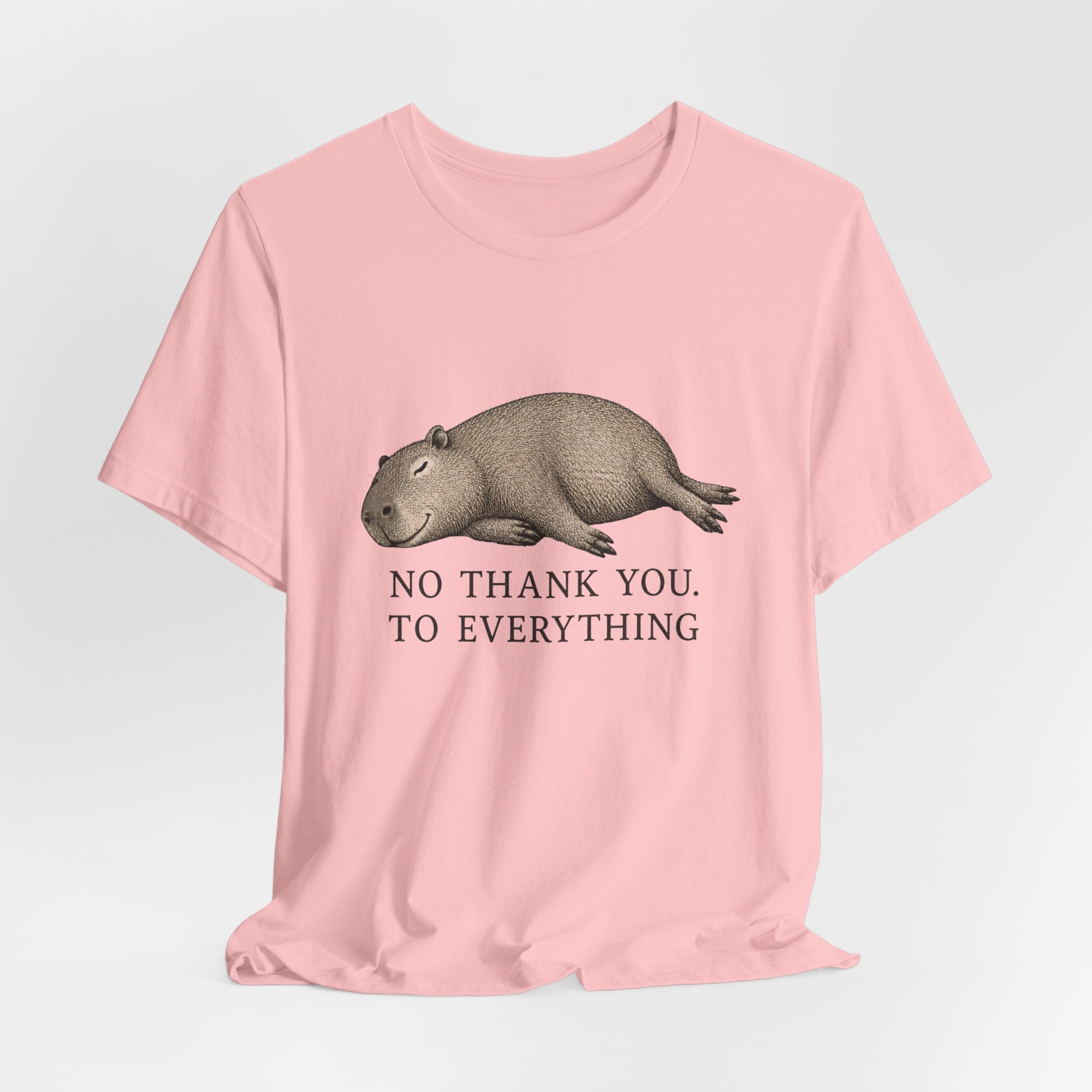 No Thank You to Everything T-Shirt