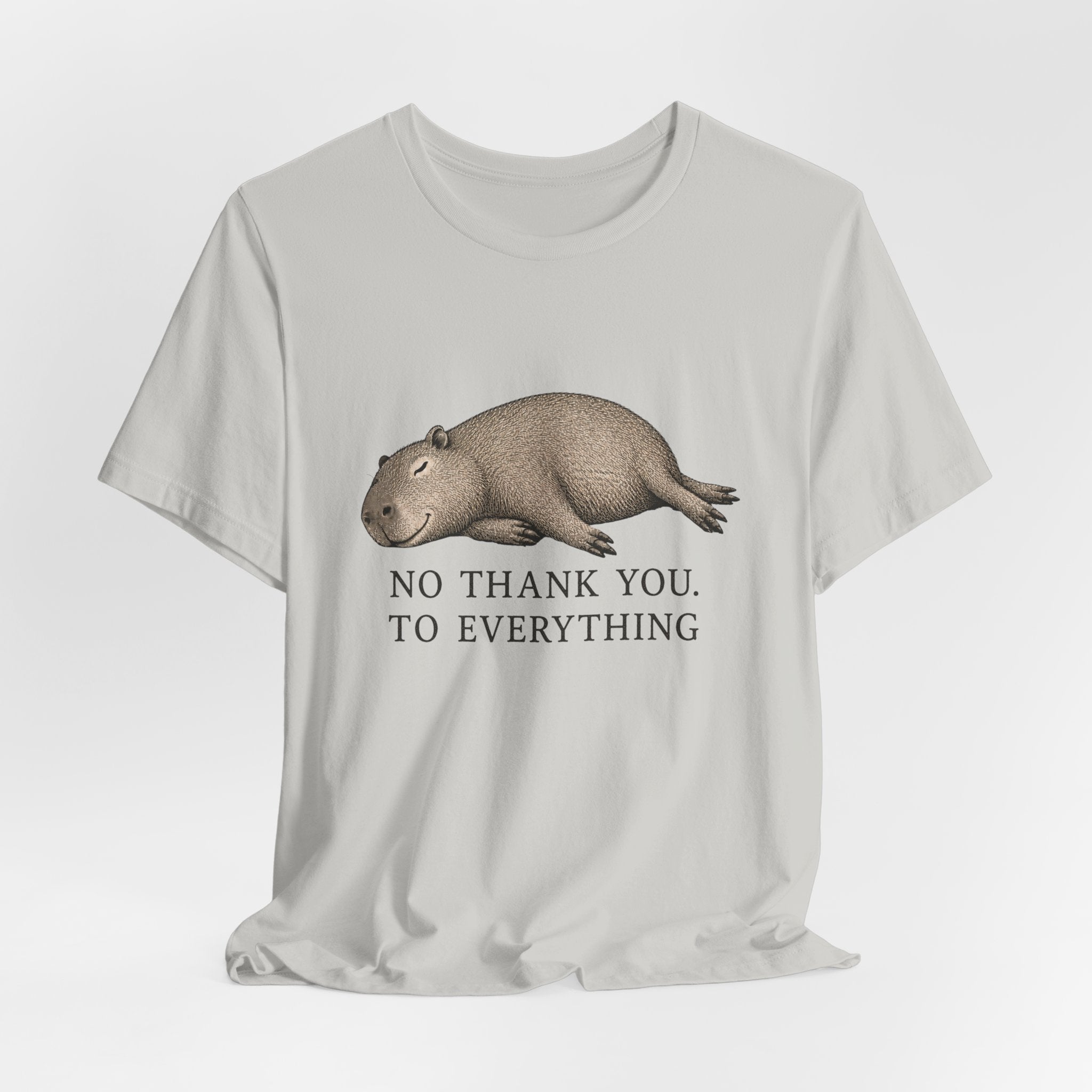 No Thank You to Everything T-Shirt