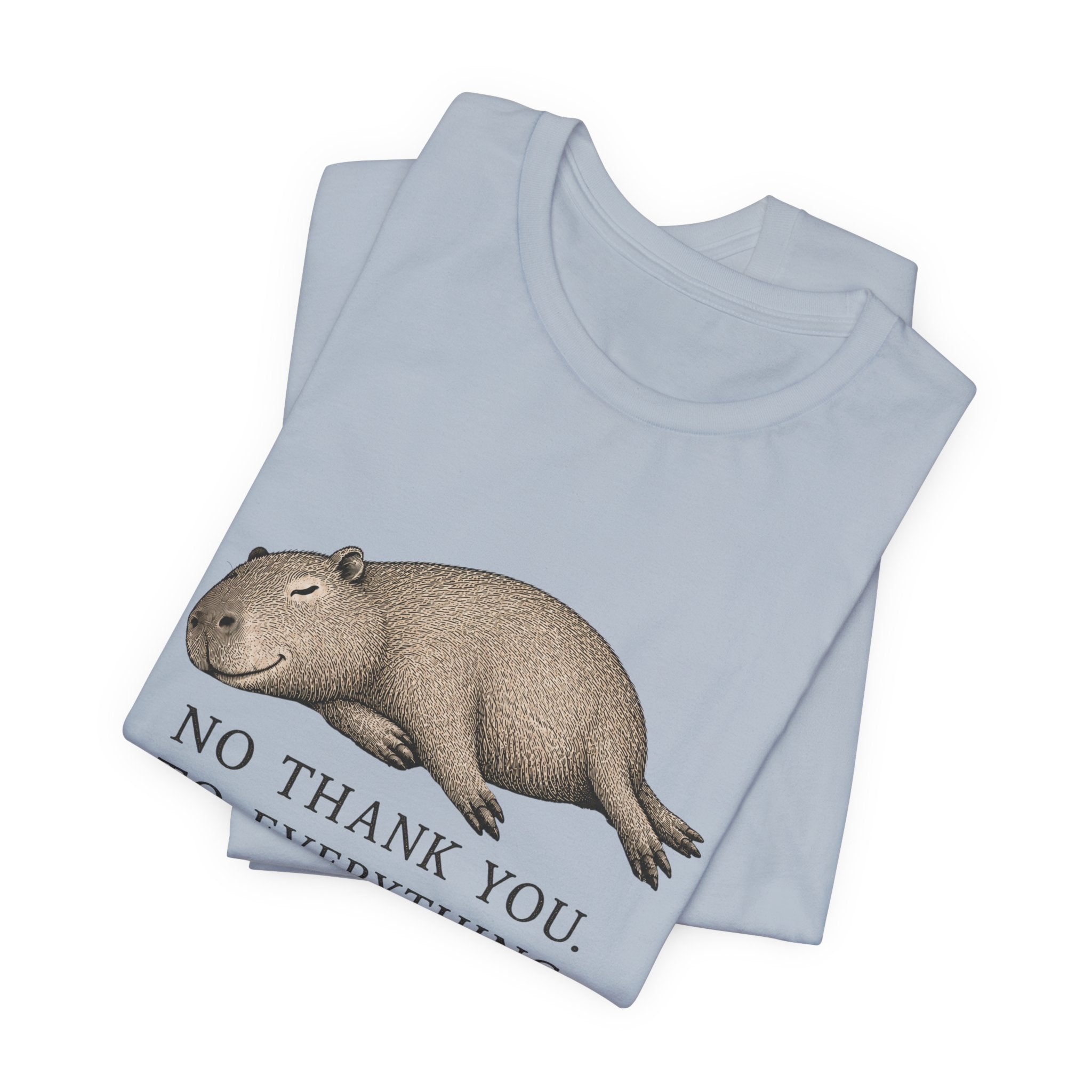 No Thank You to Everything T-Shirt
