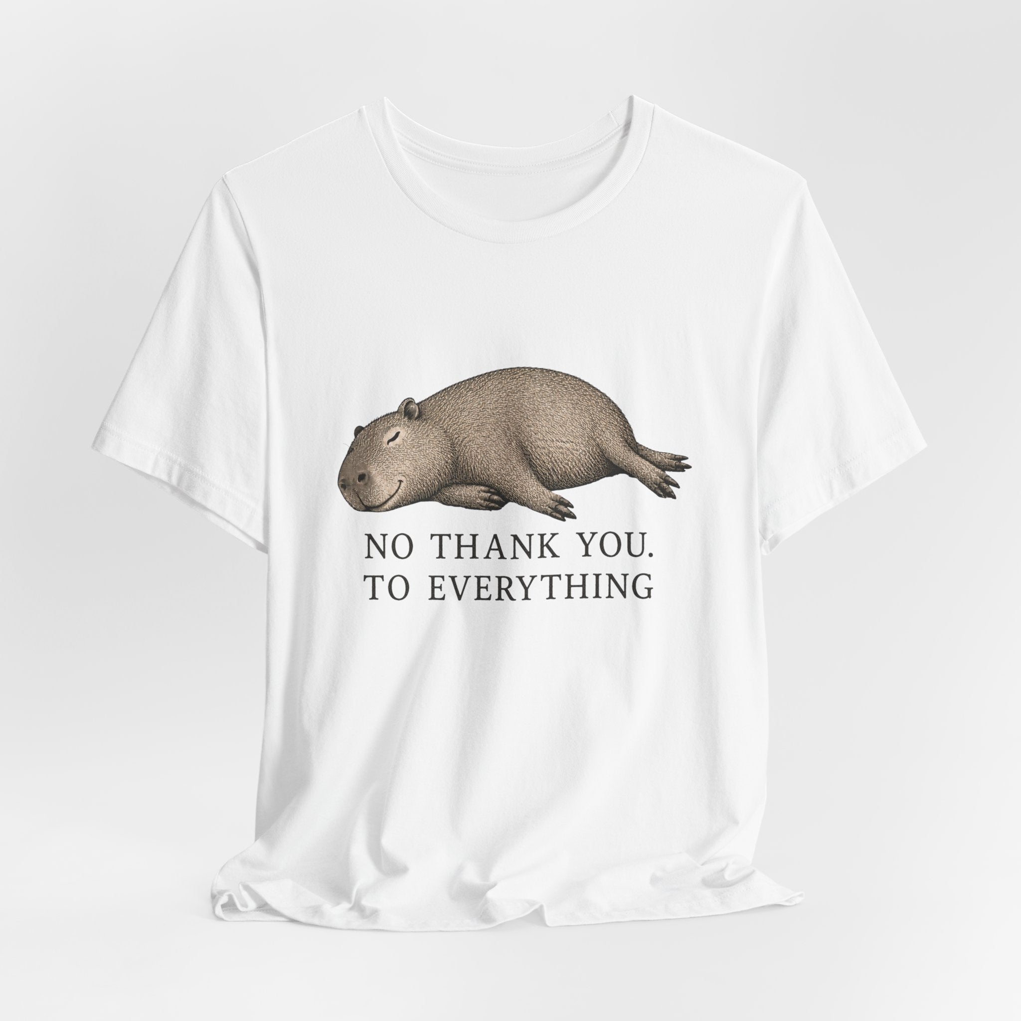 No Thank You to Everything T-Shirt