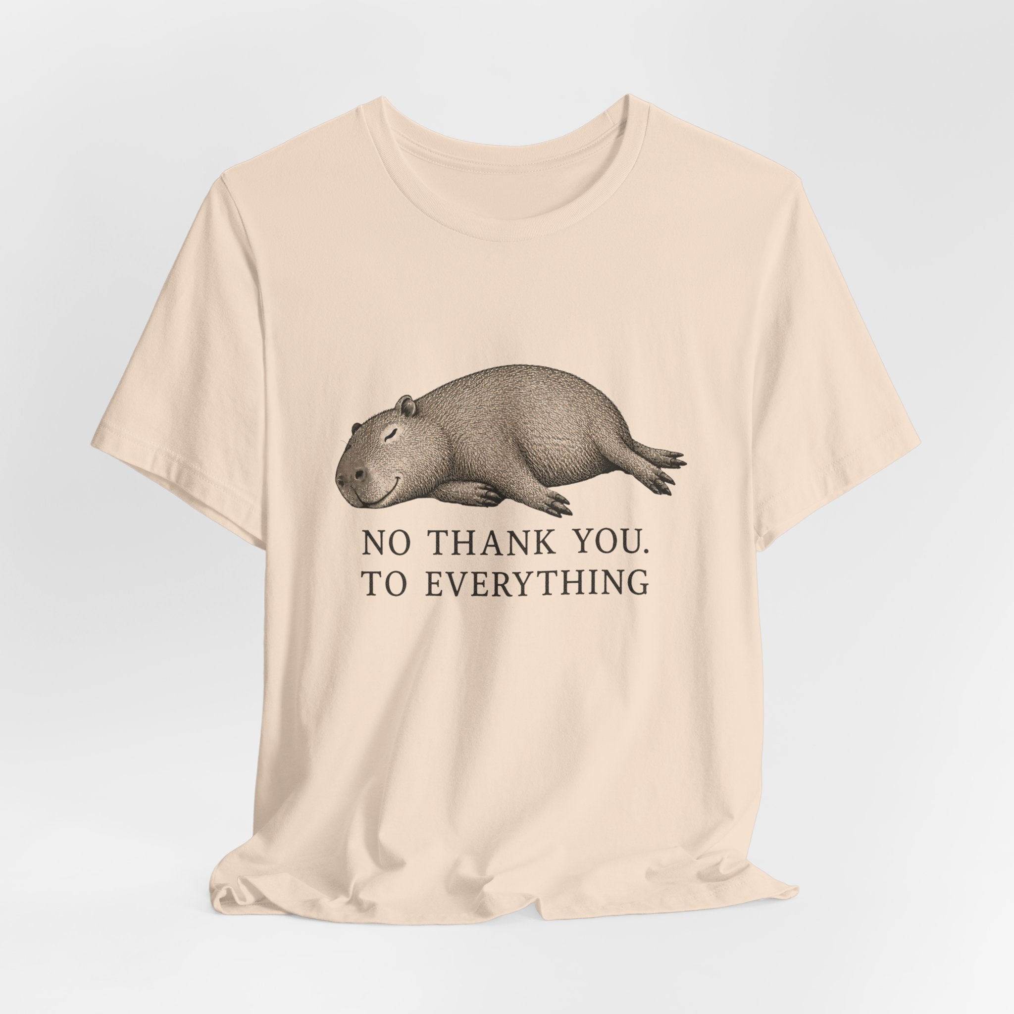No Thank You to Everything T-Shirt